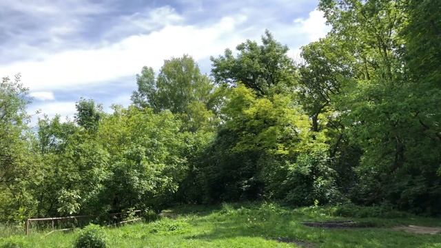 ЗВУКИ ПРИРОДЫ.Пенье птиц.ЗВОН КОЛОКОЛОВ.МИРНОЕ НЕБО смотреть онлайн