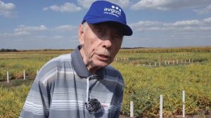 История выведения сортов нута Волжанин и Волжанин 50 - рассказывает селекционер Балашов В.В.