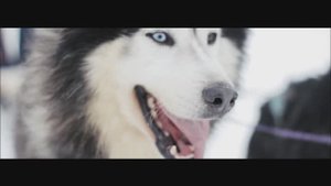 Курс на север