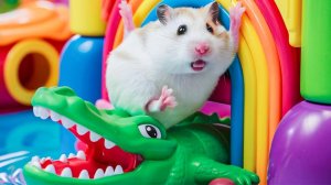 Лабиринт для Хомяка ! Выбираемся из ЖУТКОГО ЛАБИРИНТ С ЛОВУШКАМИ ! Видео для детей