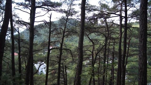 Джанхот 2017 лето -осень смотреть онлайн