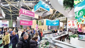 Видеодневник «Продэкспо-2025»