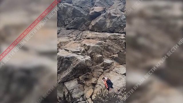 Что известно о самочувствии кошки Муси, спасённой после падения со скалы в Крыму