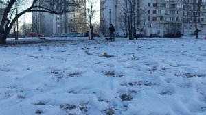 БК Мята - ловит роллы