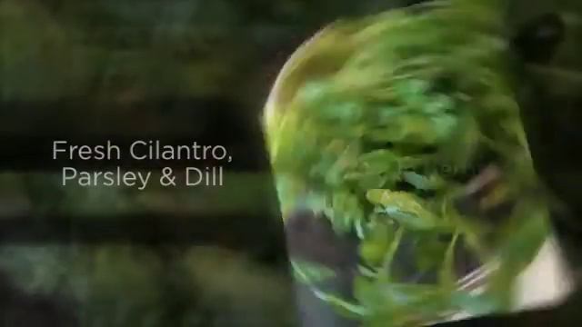 Maple-Tomato Salsa смотреть онлайн