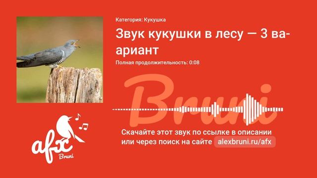 Звук: Звук кукушки в лесу — 3 вариант смотреть онлайн