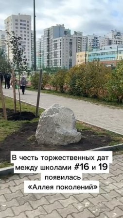 Высадка аллеи в Академическом