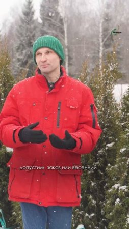 Как грамотно планировать закупки для садового центра, чтобы не остаться без нужных растений в сезон