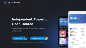 Кошелек My Ton Wallet - Обзор и проверка | Что нужно знать