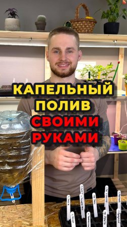 Как не дать рассаде засохнуть, если нужно надолго уехать?😨🌱