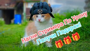 Нагни Стримера По Урону Получи Приз Tanks Blitz Танки Блитс Блитз Танкс
