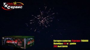 TKB880 Гаргара 254*1-39*1,2 (293 выстрела,веерная)