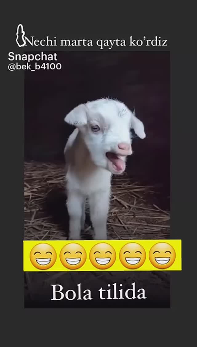 25-09-2024 смотреть онлайн