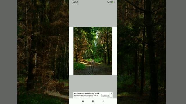 Мой ос(ч.о.) смотреть онлайн