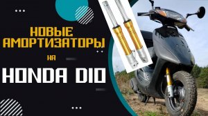 Маслянные амортизаторы на Honda DIO 35