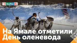 Жители Ямало-Ненецкого округа устроили гонки в упряжке в День оленевода