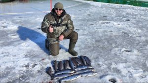 Форель со льда!