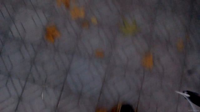 🎧АСМР/ ASMR-Звуки листьев, звуки ходьбы, листья, ходьба, с ушка на ушко/Sounds of leaves,ear to ear смотреть онлайн