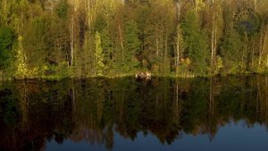 Понтон Светлояр 27-08-24-03