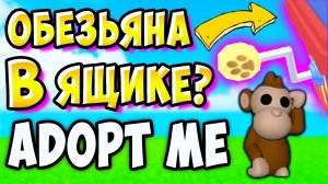 ОБЕЗЬЯНКИ скоро в АДОПТ МИ_ 😱 Новое обновление в АДОПТ МИ обезьяна новые питомцы в адопт ми