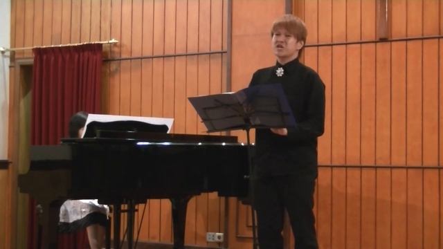 PL 11 : Nikodemus Lukas - Una Furtiva Lagrima (Gaetano Donizetti) смотреть онлайн