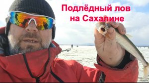 Подлёдный лов на Сахалине. Как добыть тонну наваги без снастей.