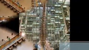 Самые красивые библиотеки мира.