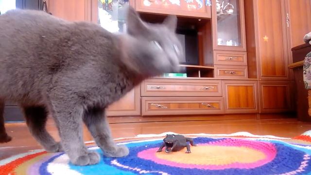 Сам себе режиссёр! смотреть онлайн