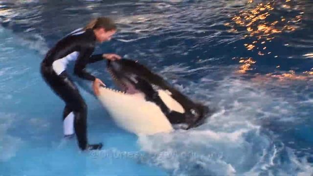 Sea World Promo Galit Alter Edited смотреть онлайн