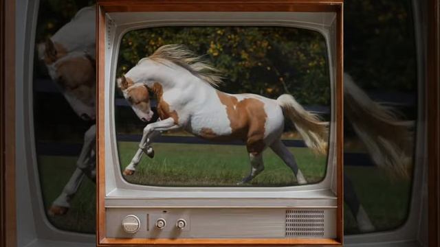 Лошади в галопе-Leo Roajs смотреть онлайн