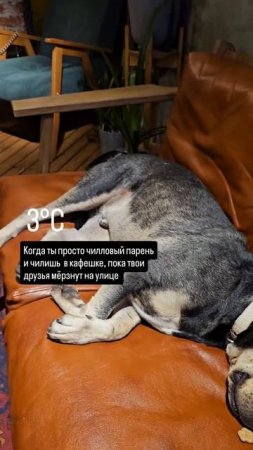 Признавайтесь, хочется?