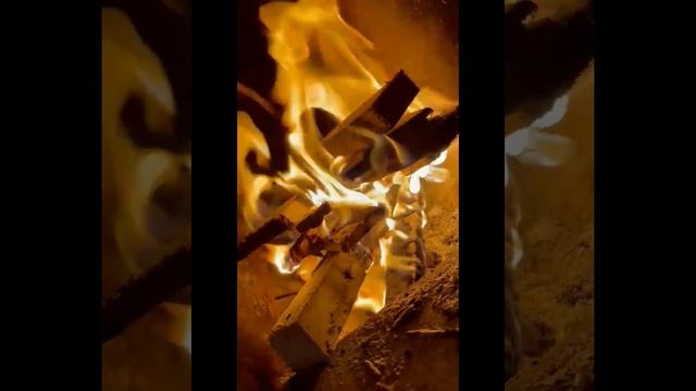 Звук горения сосны успокаивающее живое видео!!!