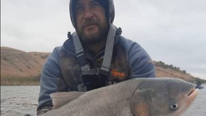 РЫБАЛКА НА ДОНУ. ОСЕНЬ