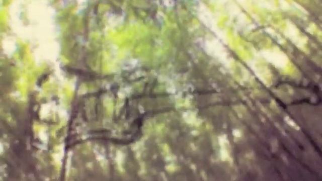 Karl Larsson - Off The Cliff смотреть онлайн