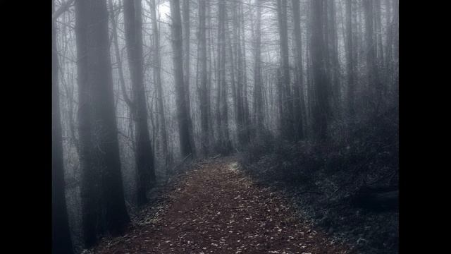 Истории на ночь: Ночная тропа смотреть онлайн