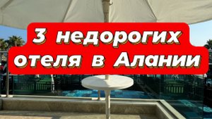 3 недорогих? ДА! Ужасных? -НЕТ
Отеля в Алании /махмутлар