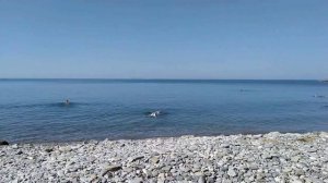 Видео. Инал 2023.