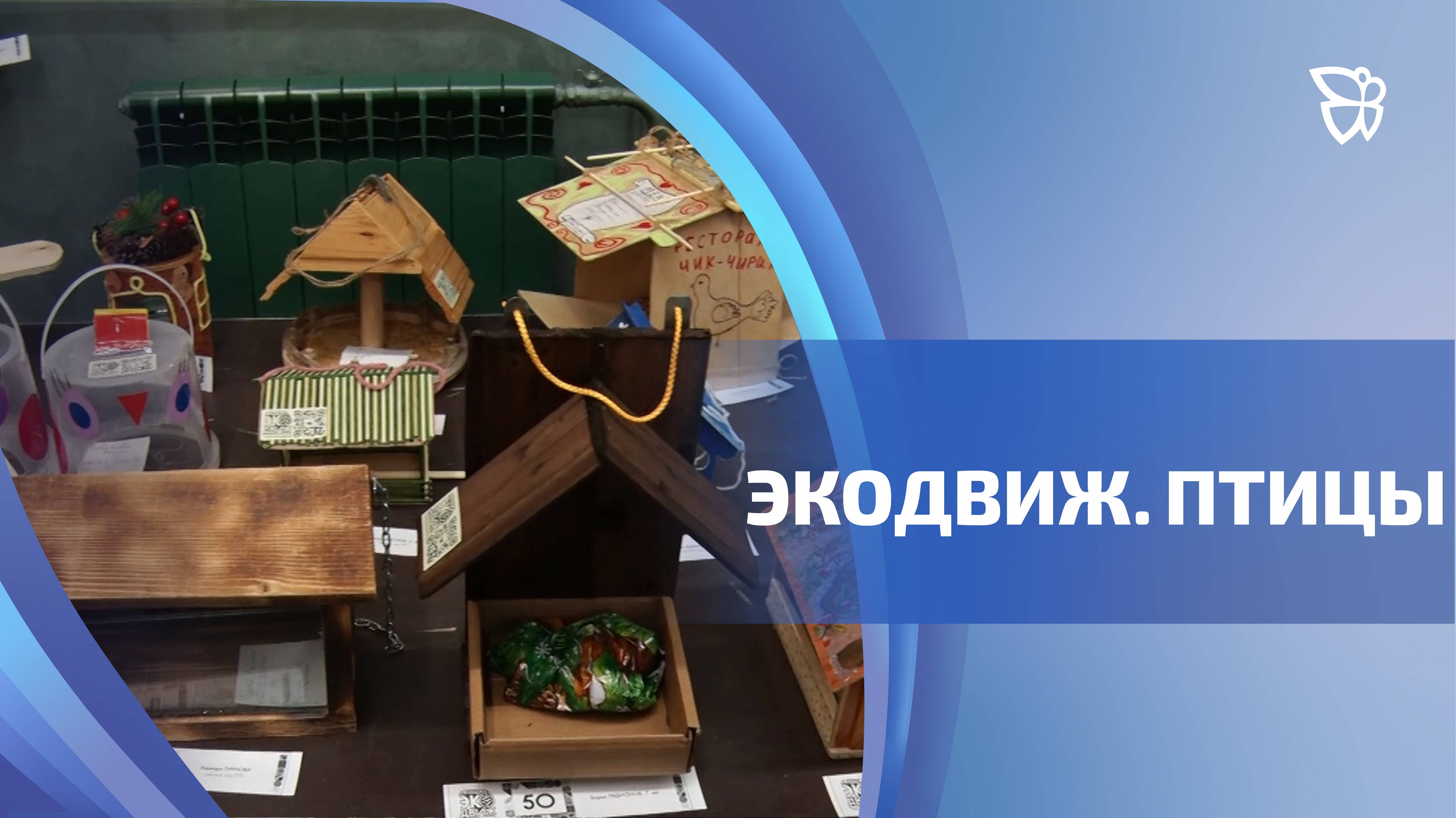 «Экодвиж 4 сезона. Зима» прошел в Тагиле в эти выходные