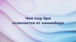 Чем сыр бри отличается от камамбера