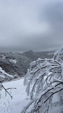 Самое прекрасное место для отдыха #отдых