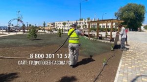 Гидропосев газона в Крыму | Столбовое, Сакский район, Республика Крым, Россия