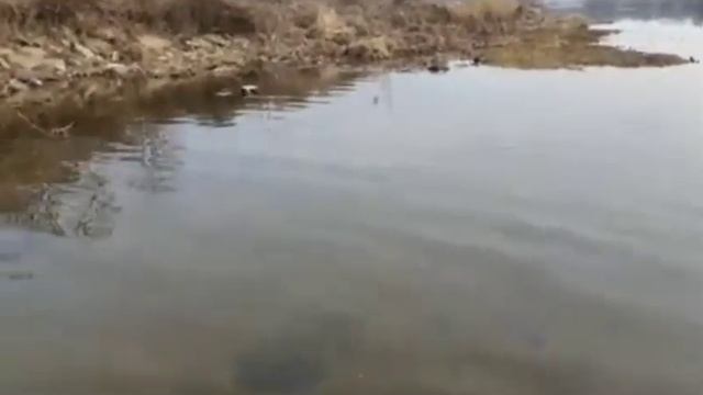 Скоро будет нереальный контент! смотреть онлайн