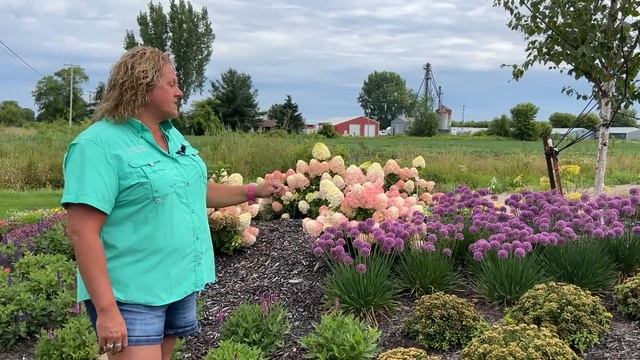 Late Summer Blooming Perennials смотреть онлайн