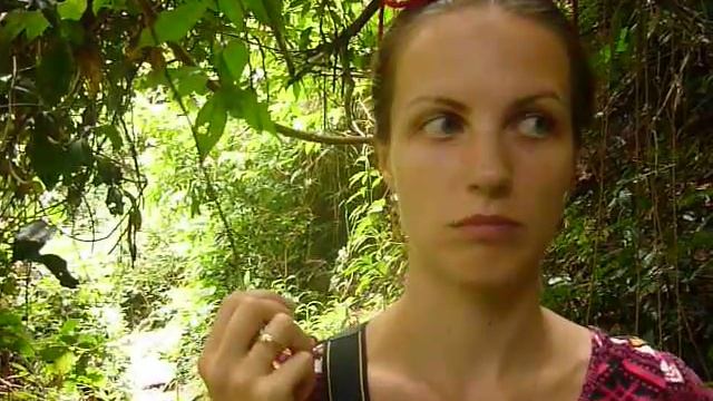 Звуки джунглей Самуи 2 смотреть онлайн