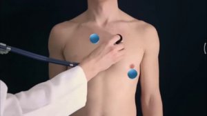 Аускультация сердца за 1 минут