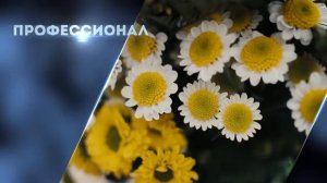 Ведущий на свадьбу Лев Мусинов от компании RF-Event