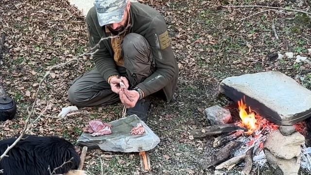Дикие животные пришли в мой кемпинг в диком лесу