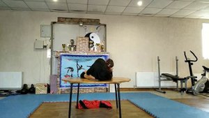 Гермиона каучук цирковое искусство