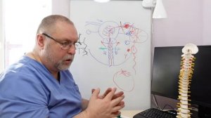 Трубная беременность. Внематочная беременность. Почему возникает и что делать.