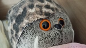 Басик попал в больницу влог: с больным Басиком